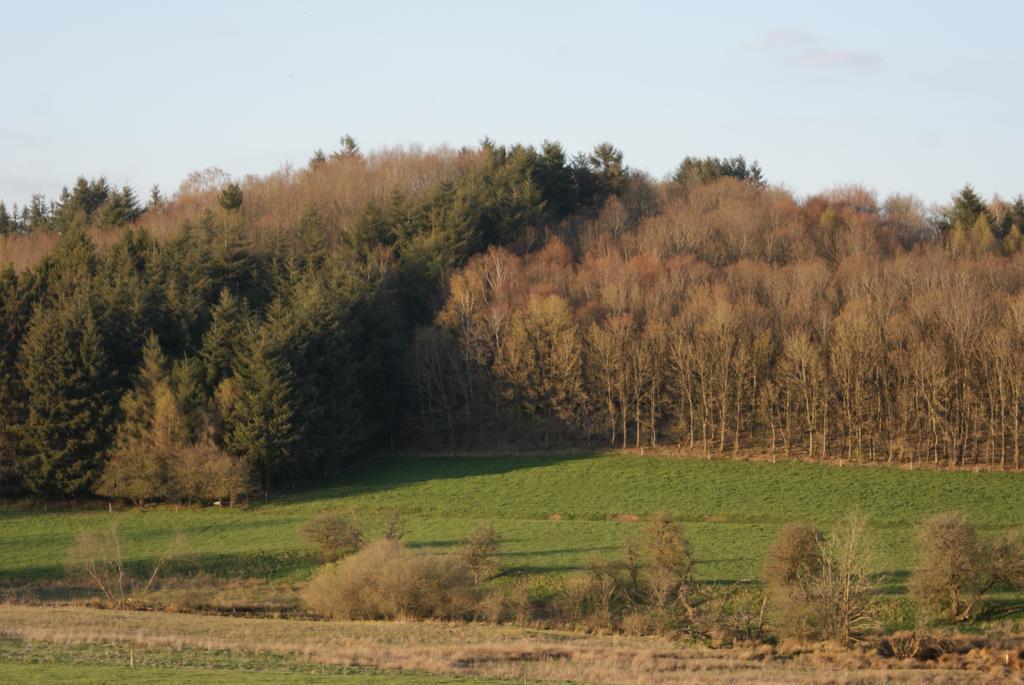 Le Gite De L Ourthe Ortheuville المظهر الخارجي الصورة