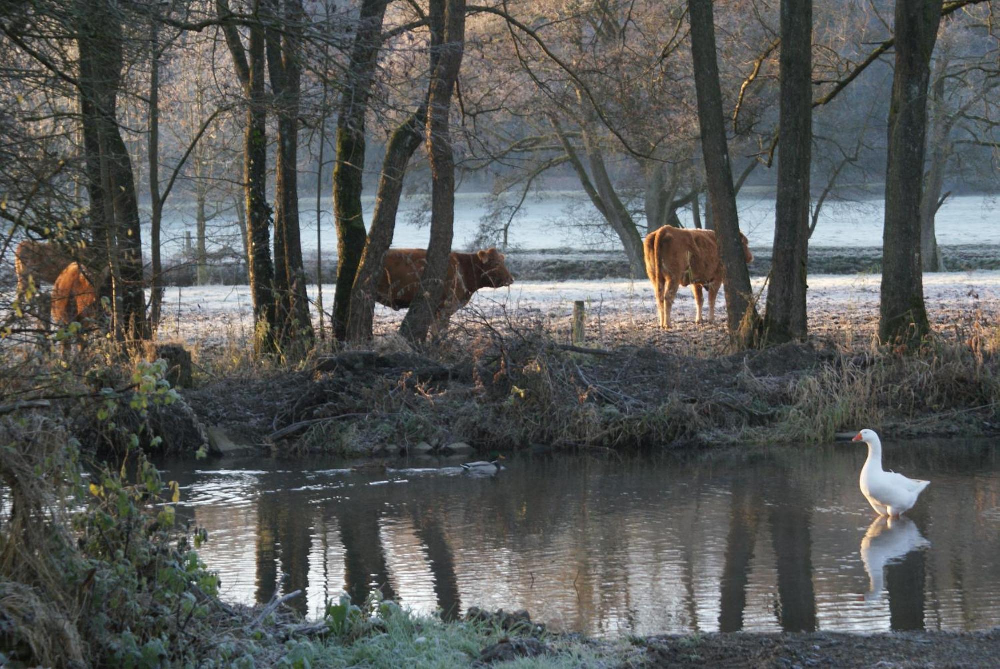 Le Gite De L Ourthe Ortheuville المظهر الخارجي الصورة
