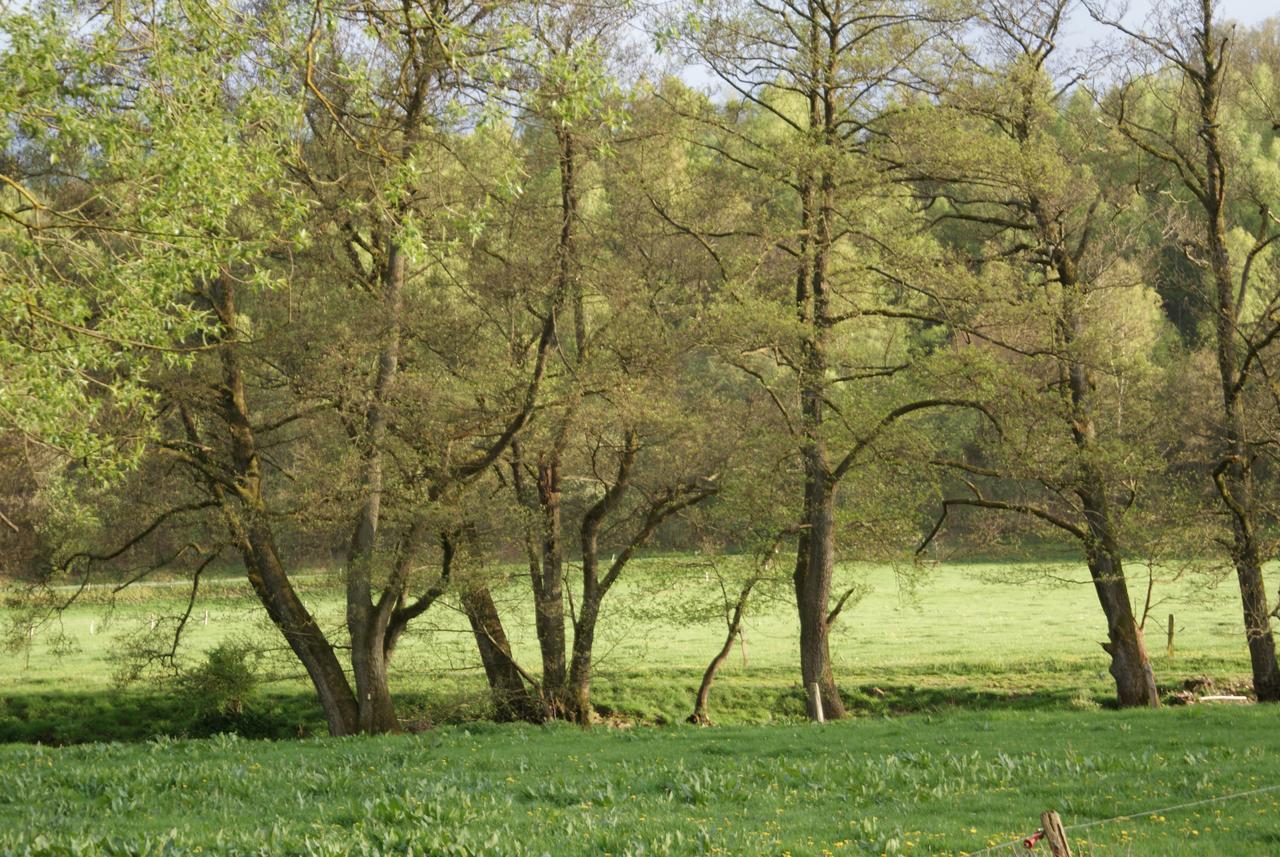 Le Gite De L Ourthe Ortheuville المظهر الخارجي الصورة